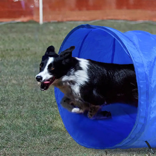 Komplett Agility Set